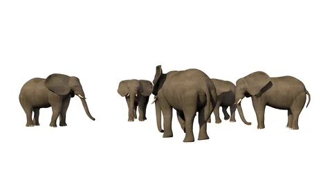 GROUP OF ELEPHANTS VIEW B Vídeos de archivo 101808022