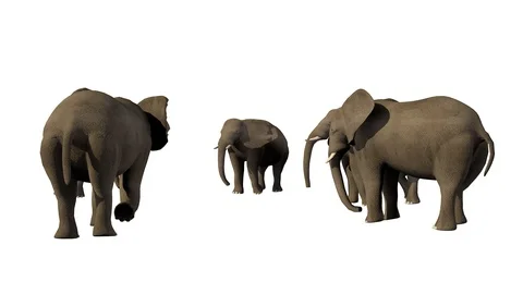 GROUP OF ELEPHANTS VIEW F Vídeos de archivo 101810237