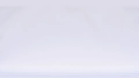 Group of Emperor penguin walking in a raw, in front of white background Stock Footage 116662242