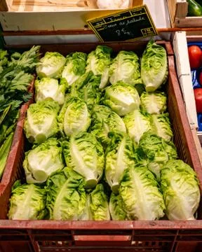 Group of endive salad Foto stock