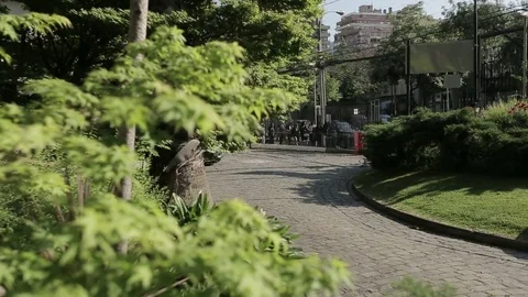 Group entering courtyard Video stock 77049773