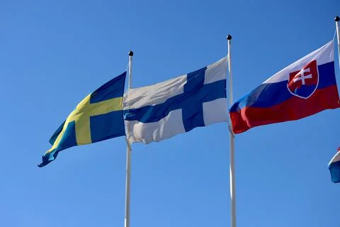 Group of EU flags Stock Photos