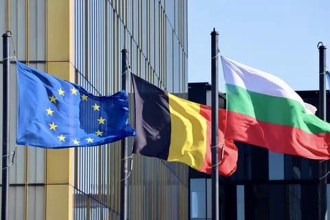 Group of EU flags Stock Photos