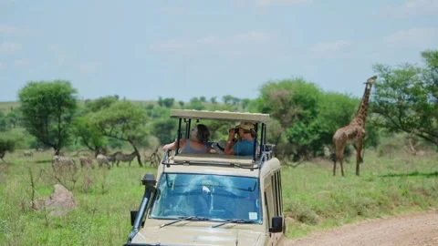 Group of excited tourists standing inside 4x4 vehicle looking at safari animals Video stock 307720570