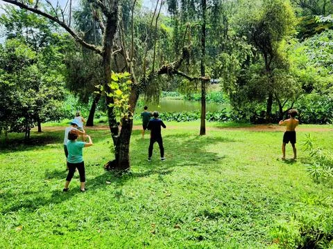 Group exercise in a lush park setting Stock Photos