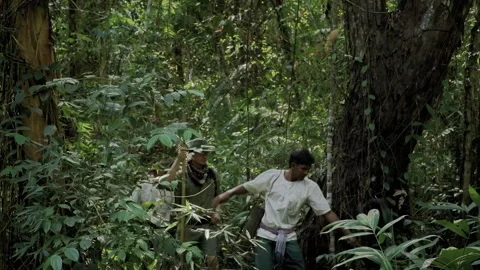 Group of explorers trekking through a dense cambodian jungle Vídeo Stock 331875641