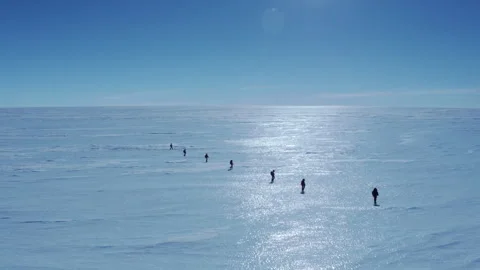 Group of explorers walking on an arctic glacier Stock Footage 330556749