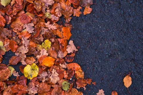 Group of fallen leaves at the left with black copy space at the right Stock Photos