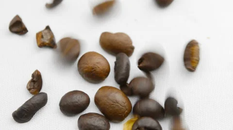 Group falling coffee beans on white background Vidéo 37818984