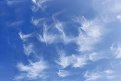 Group of fanciful white clouds Group of fanciful white clouds against the ... Stock Photos