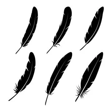 Group of feather on white background Stock Illustration