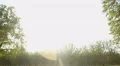 Group of female students strolling in municipal park, enjoying summer holidays HD Footage