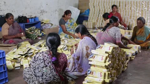 A group of female workers are preparing and packing the incense sticks in t.. Stock Footage 241653229