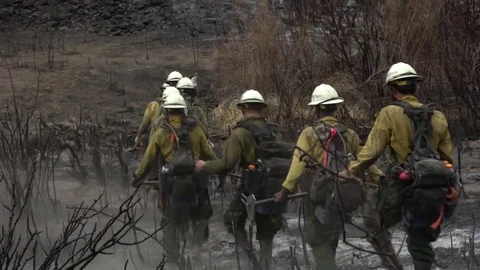 Group of firefighters walking through the ashes of a forest in Reno, Nevada Stock-Footage 79651859