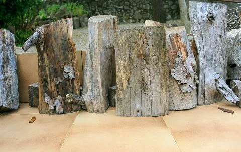 Group of firewood Stock Photos