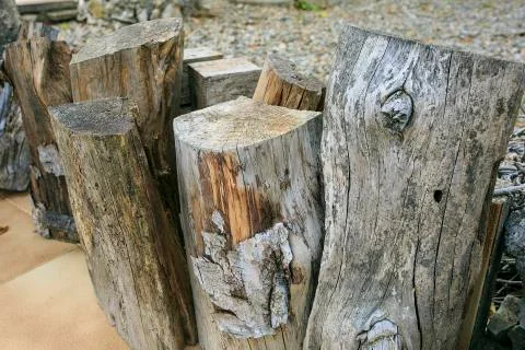 Group of firewood Stock Photos