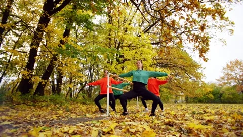 Group fitness class with elements of ballet near the ballet barre. Stock Footage 256913464