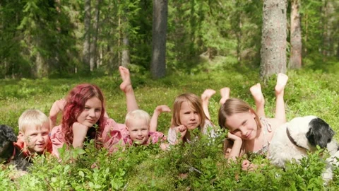 Group of five children and two dogs relaxing and playing in summer forest i.. Stock Footage 317751979