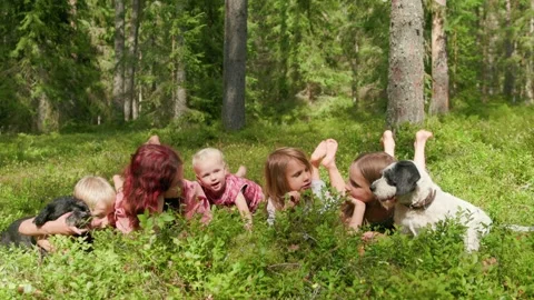 Group of five children and two dogs relaxing and playing in summer forest i.. Stock Footage 317751989