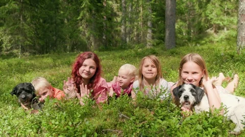 Group of five children and two dogs relaxing and playing in summer forest i.. Stock Footage 317752076