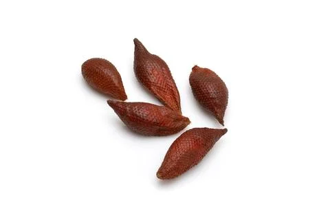 Group of Five Fresh Ripe Salak Snake Fruits Isolated on White Stock Photos