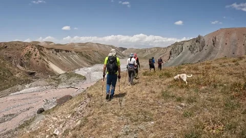 A group of five people are walking in the Pamir mountains Video stock 208437461