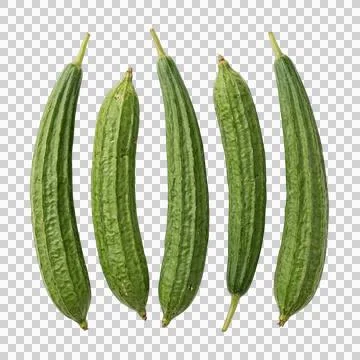 Group of five ridge gourds vegetables on transparent background healthy foo.. 스톡 사진