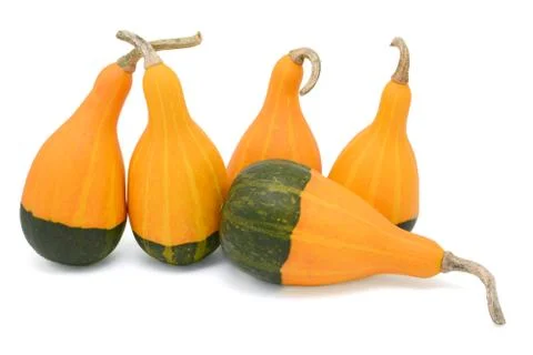 Group of five smooth-skinned, pear-shaped ornamental gourds Stock Photos