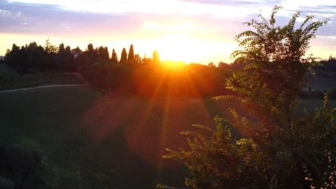 Group flight of midges at sunset 動画素材 91618580