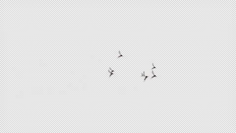 Group of Flying Mosquito Alpha loop Stock Footage 321247133