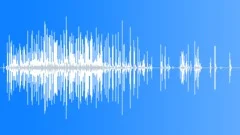 Group in Foreground Running Sound Effect