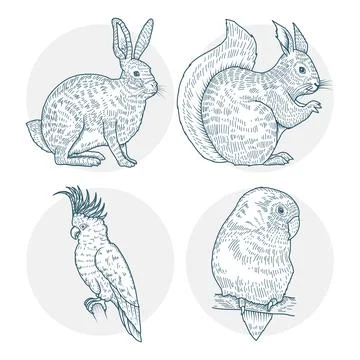 Group of four animals realistic characters drawn style icons Illustrazione stock
