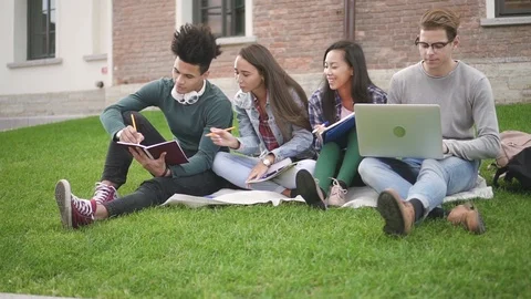 Group four students doing new job, talking, sitting on campus background. Stock Footage 99052638