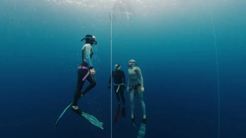 Group of freedivers dive along the rope ... | Stock Video | Pond5