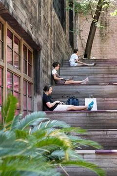 Group of freelancer work on laptop remotely or study in outdoor coworking space 写真素材