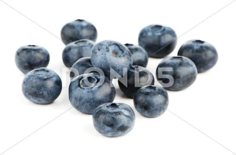 Group of fresh blueberries Stock Photos