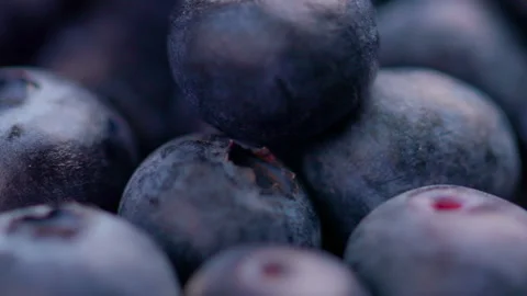 Group of fresh blueberries with shallow depth of field background Stock Footage 261858415