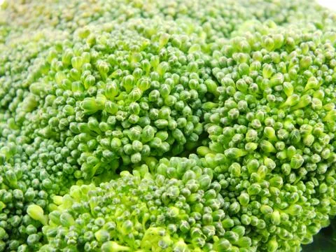 Group of fresh broccoli close up Stock Photos