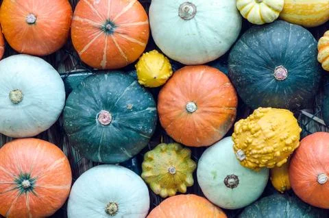 Group of fresh crops Stock Photos