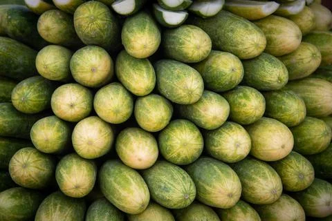 Group of fresh cucumber vegetables in a stack on a fruit market. Healthy low 스톡 사진