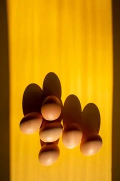 Group of fresh eggs on the table isolated on yellow background. 스톡 사진