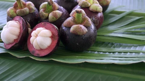 Group of Fresh Exotic Tropical Thai Fruit Mangosteens (Garcinia mangostana Stock Footage