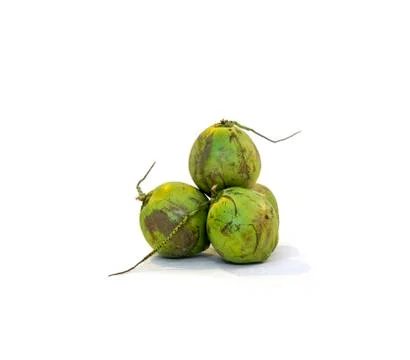 Group of fresh green coconuts isolated on white background Stock Photos