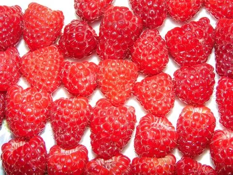 Group of fresh raspberry. Macro view Stock-Fotos