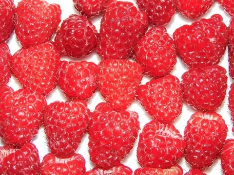 Group of fresh raspberry. Macro view Fotos Stock