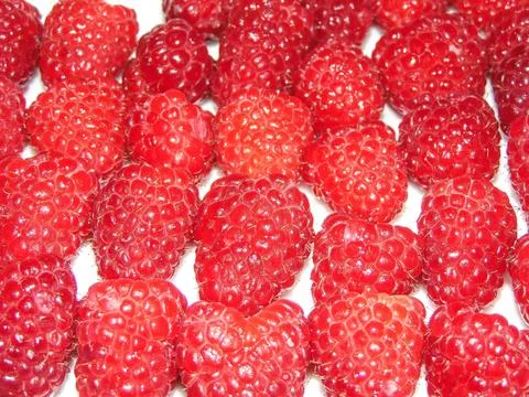 Group of fresh raspberry. Macro view Stock Photos