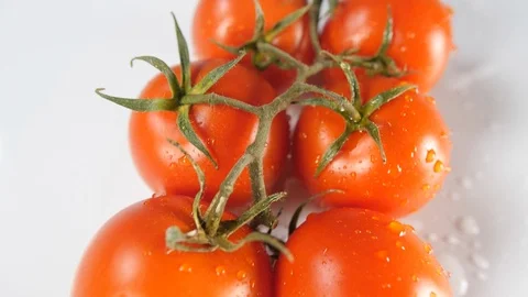 A group of fresh red fruit tomatoes   on a white background with water splash Stock Footage 88508637