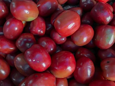 Group of fresh red tomatoes Stock Photos