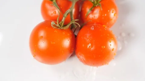 A group of fresh red tomatoes on a white background with water splashes  Stock Footage 88508526