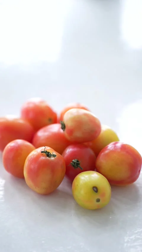 Group of fresh ripe red and orange tomatoes gathered on a clean white surface Stock Footage 344704669